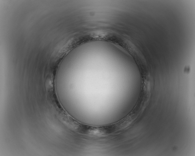 X0000113100561200909111054