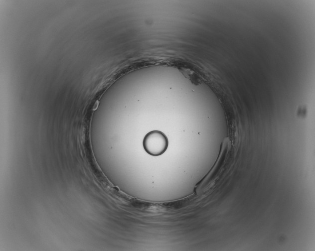 X0000113100562200909111054