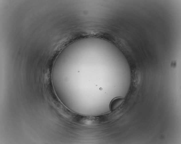X0000113100563200909111054