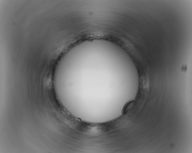 X0000113100564200909111054