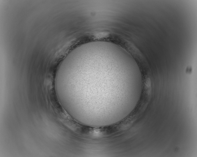 X0000113100565200909111054