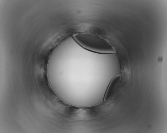 X0000113100566200909111054