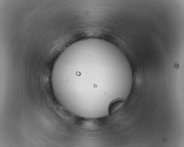 X0000113100567200909111054