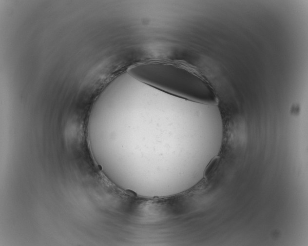 X0000113100568200909111054