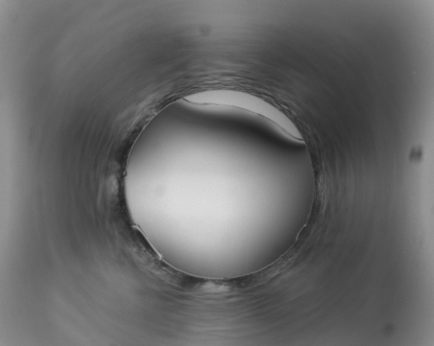 X0000113100570200909111054