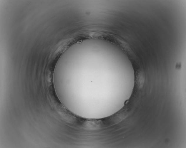 X0000113100571200909111054