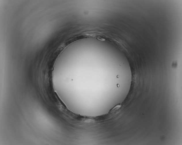 X0000113100572200909111054