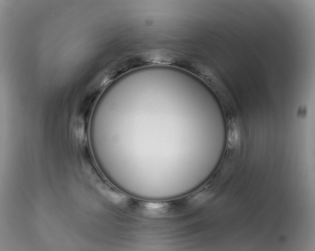 X0000113100573200909111054