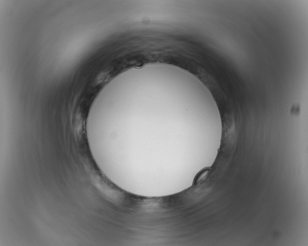 X0000113100574200909111054