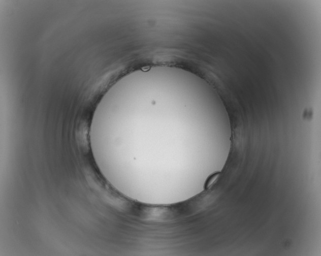 X0000113100575200909111054