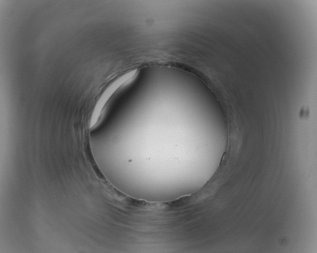 X0000113100576200909111054