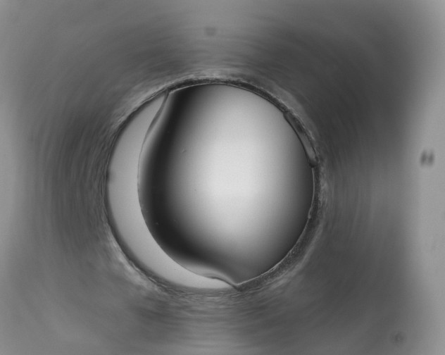 X0000113100577200909111053