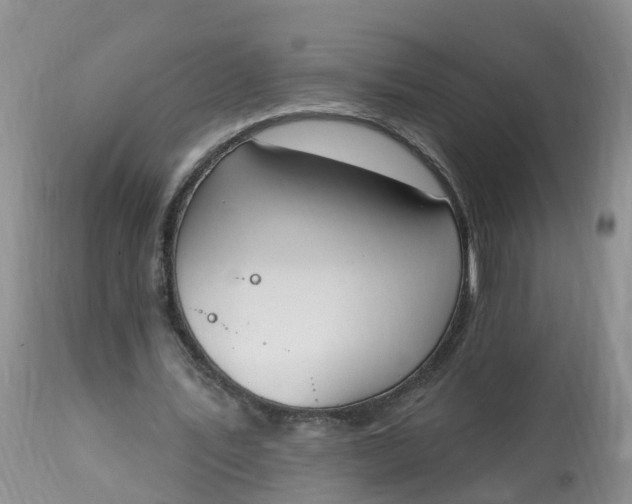 X0000113100579200909111053