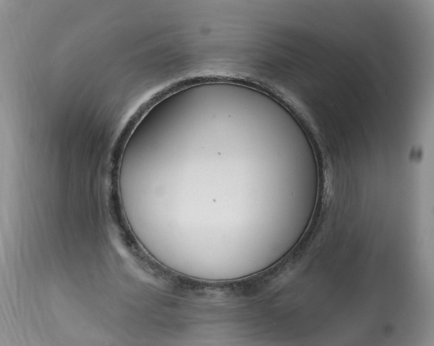 X0000113100580200909111053