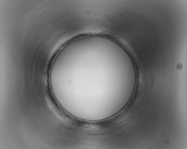 X0000113100582200909111053