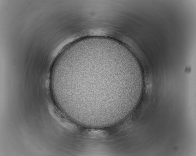 X0000113100583200909111053