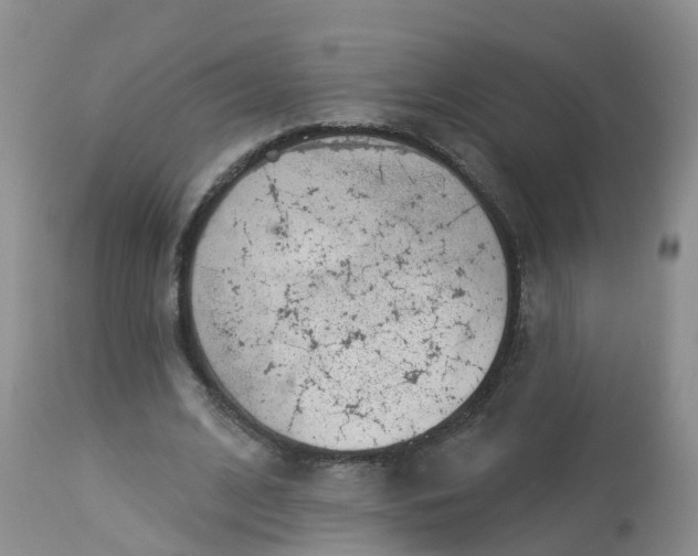 X0000113100584200909111053