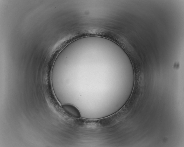 X0000113100587200909111053