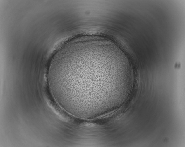 X0000113100590200909111053