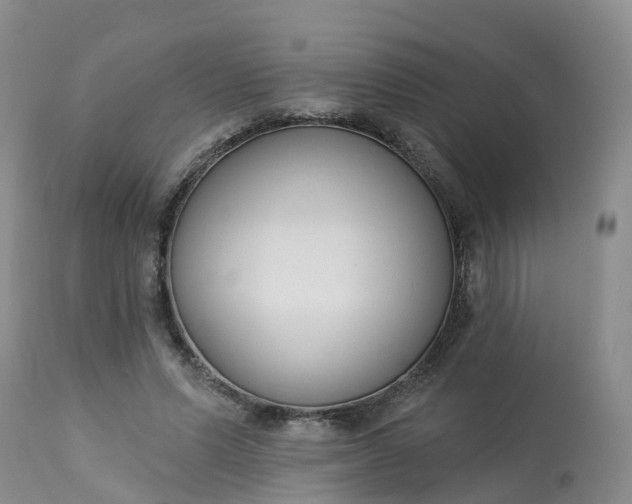 X0000113100591200909111053