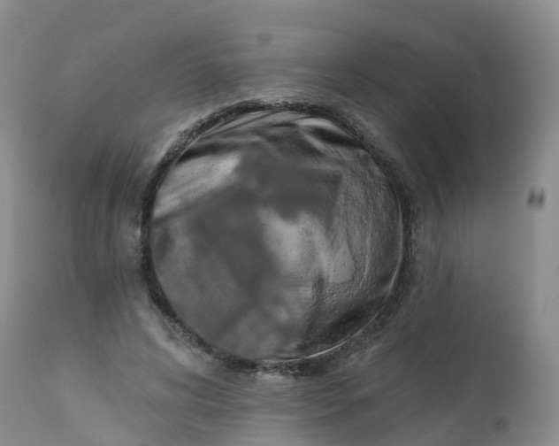 X0000113100592200909111053