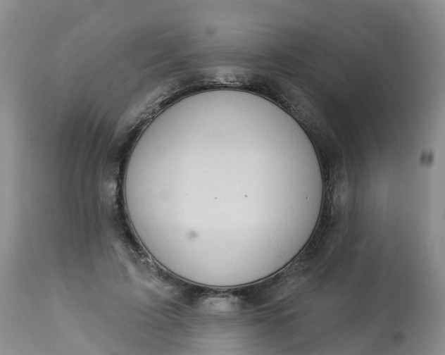 X0000113100595200909111053