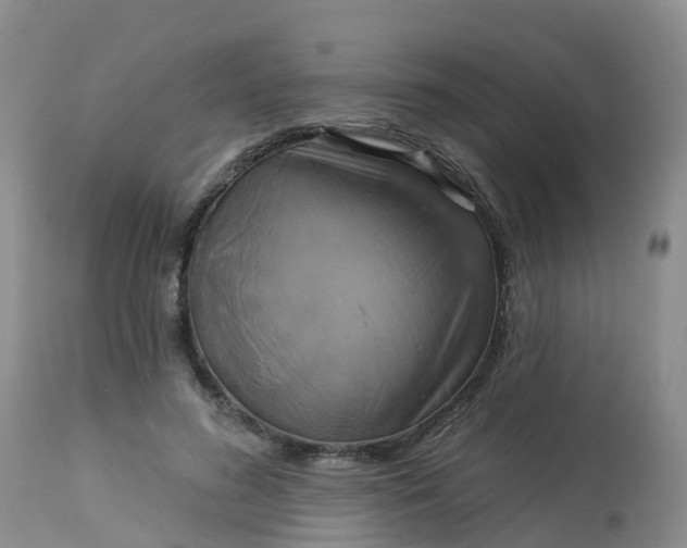X0000113100596200909111053