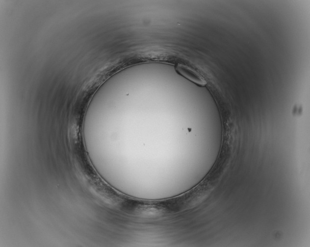 X0000113100597200909111053