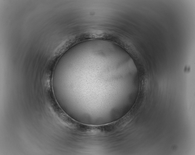 X0000113100598200909111053