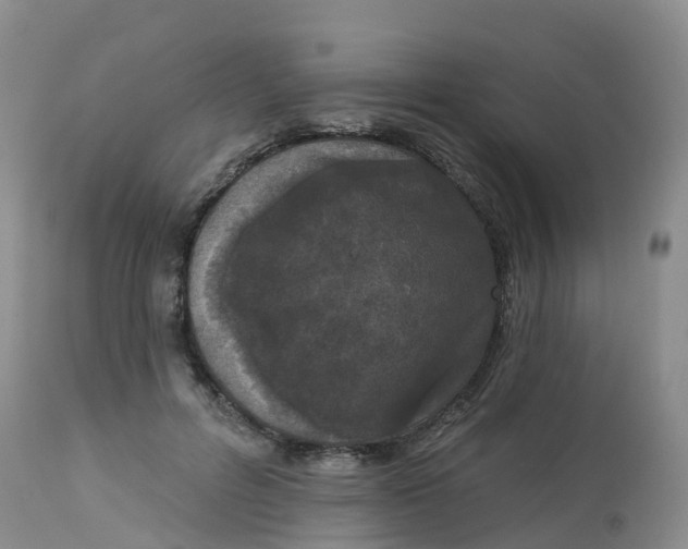 X0000113100600200909111053