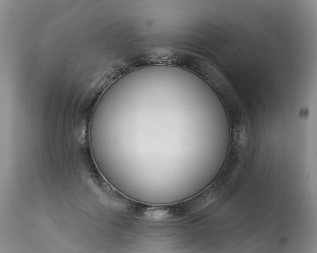 X0000113100602200909111053