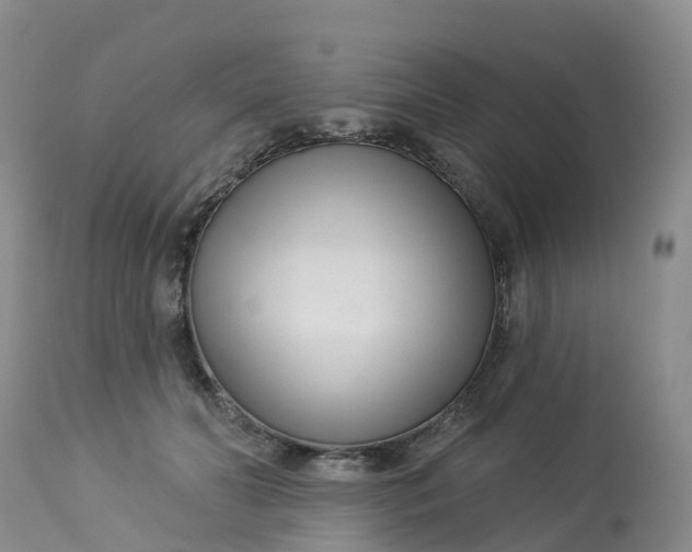X0000113100606200909111053