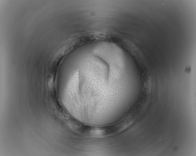 X0000113100610200909111053