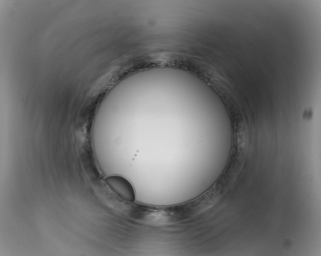 X0000113100611200909111053
