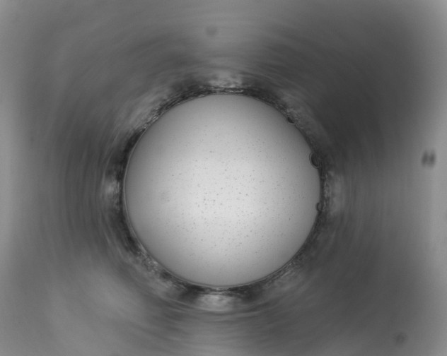 X0000113100614200909111053