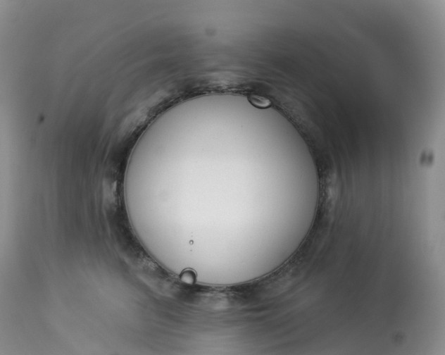 X0000113100615200909111053