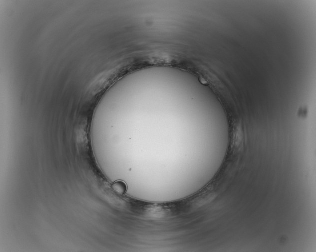 X0000113100616200909111053