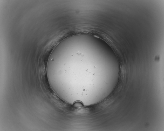 X0000113100617200909111053