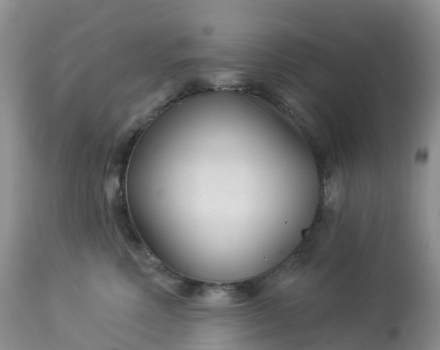 X0000113100618200909111053