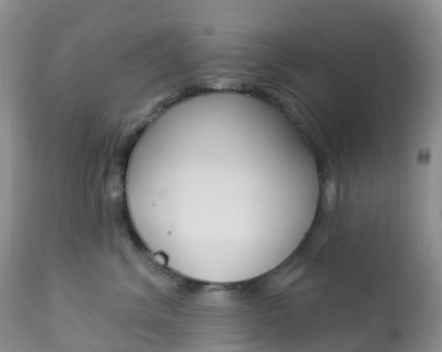 X0000113100620200909111053