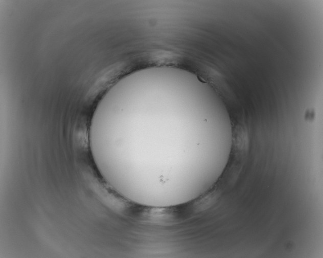 X0000113100622200909111053