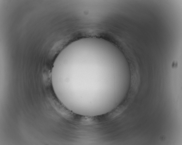 X0000113100624200909111053