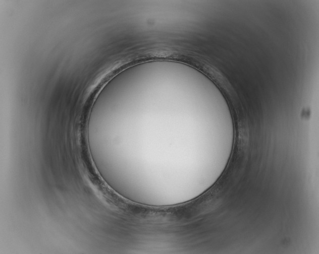 X0000113100626200909111052