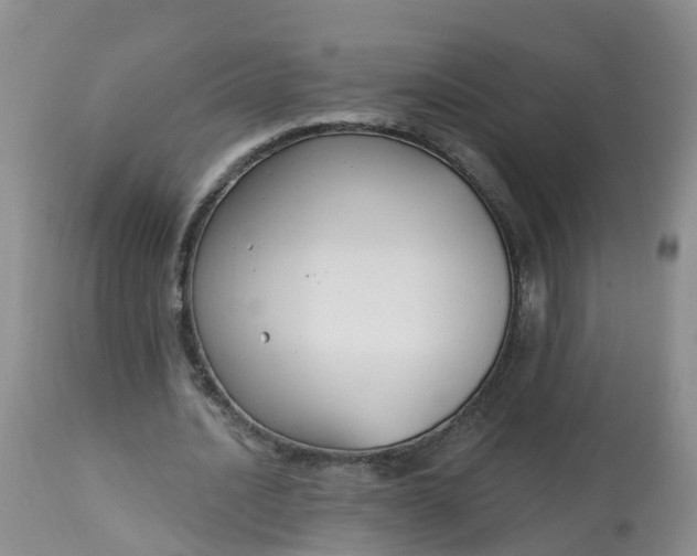 X0000113100628200909111052