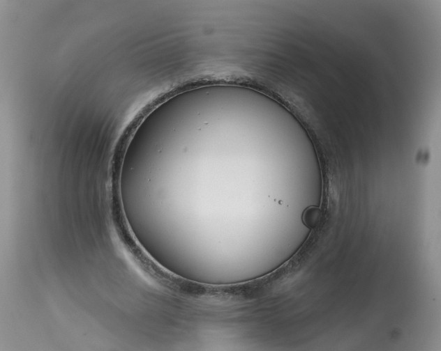 X0000113100630200909111052