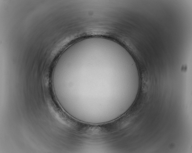 X0000113100631200909111052