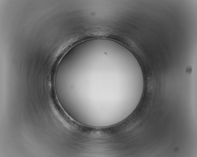 X0000113100634200909111052