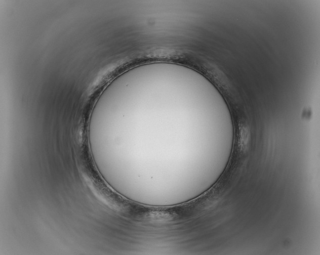 X0000113100636200909111052