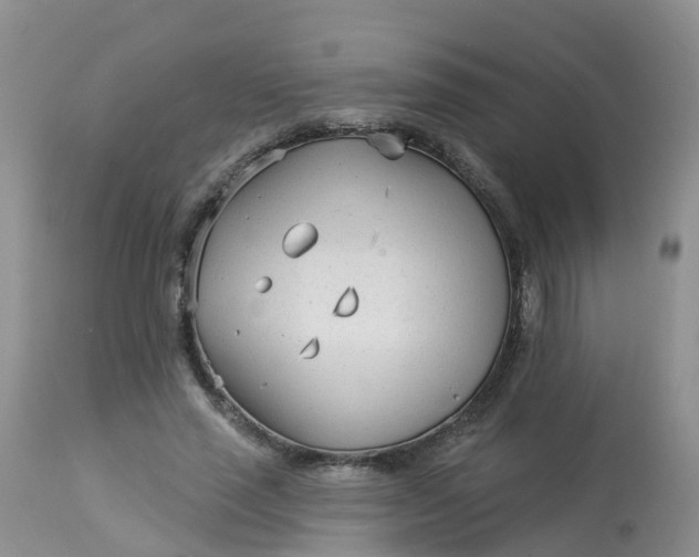X0000113100637200909111052