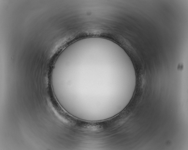 X0000113100638200909111052